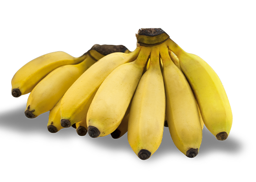 Manzano Bananas Del Monte