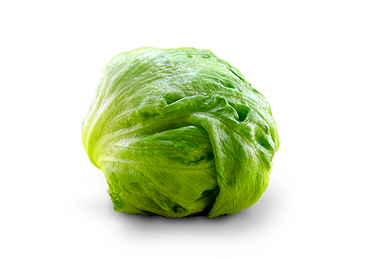 Iceberg Lettuce