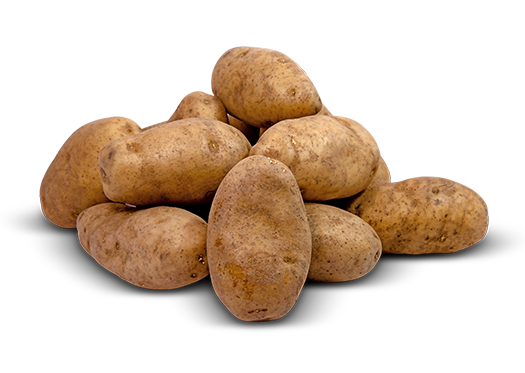 Russet Potatoes