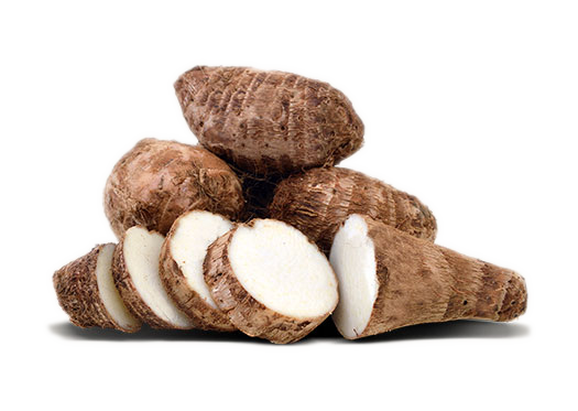 Malanga