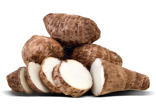Malanga