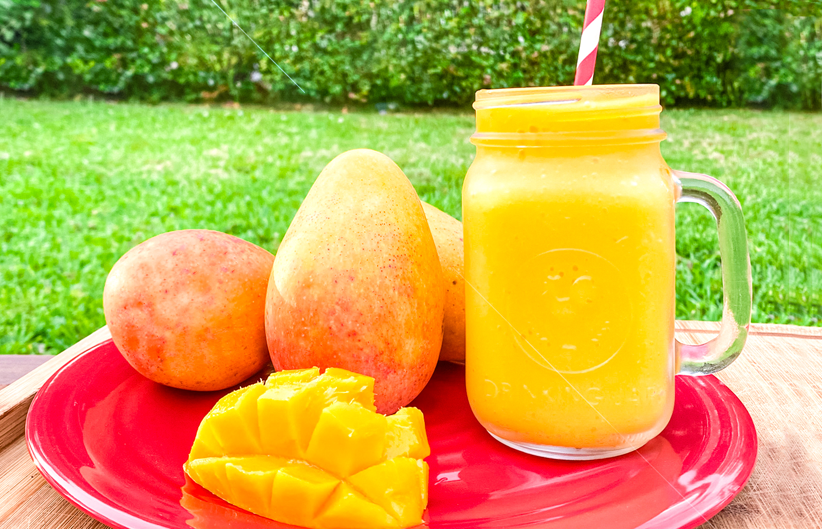 fl-tropical-smoothie