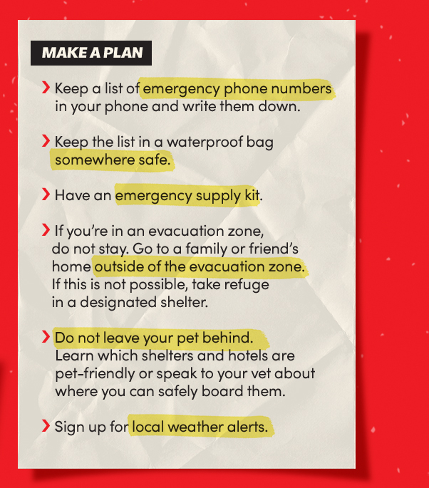 Make a plan:
Keep a list of emergency phone numbers in your phone and write them down.;
Keep the list in a waterproof bag somewhere safe. Have an emergency supply kit.;
If you’re in an evacuation zone, do not stay.;
Go to a family or friend’s home outside of the evacuation zone.;
If this is not possible, take refuge in a designated shelter.;
Do not leave your pet behind. Learn which shelters and hotels are pet-friendly or speak to your vet about where you can safely board them.;
Sign up for local weather alerts.