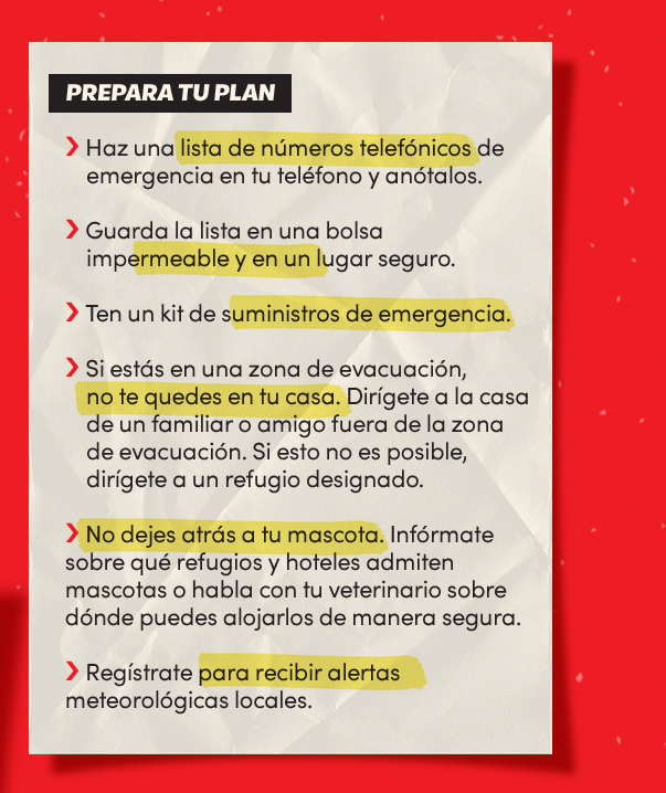 Prepara tu plan:
Haz una lista de números telefónicos de emergencia en tu teléfono y anótalos;
Guarda la lista en una bolsa impermeable y en un lugar seguro;
Ten un kit de suministros de emergencia;
Si estás en una zona de evacuación, no te quedes en tu casa;
Dirígete a la casa de un familiar o amigo fuera de la zona de evacuación;
Si esto no es posible, dirígete a un refugio designado;