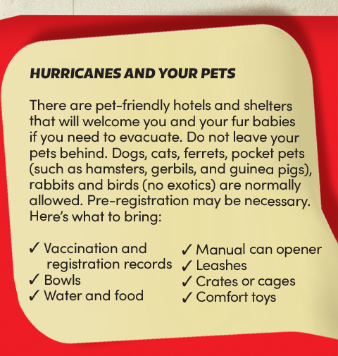 Hurricanes and your pets:
There are pet-friendly hotels and shelters that will welcome you and your fur babies if you need to evacuate. Do
not leave your pets behind. Dogs, cats, ferrets, pocket pets (such as hamsters, gerbils, and guinea pigs),
rabbits and birds (no exotics) are normally allowed. Pre-registration may be necessary. Here’s what to bring:
Vaccination and registration records;
Bowls;
Water and food;
Manual can opener;
Leashes;
Crates or cages;
Comfort toys