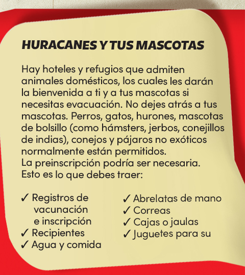Huracanes y tus mascotas. Hay hoteles y refugios que admiten animales domésticos, los cuales les darán la bienvenida a ti y a tus mascotas si necesitas evacuación. No dejes atrás a tus mascotas. Perros, gatos, hurones, mascotas de bolsillo (como hámsters, jerbos, conejillos de indias), conejos y pájaros no exóticos normalmente están permitidos. La preinscripción podría ser necesaria. Esto es lo que debes traer:
Registro de vacunación;
Recipientes;
Agua y comida;
Abrelatas de mano;
Correas;
Cajas o jaulas;
Juguetes para su comodidad